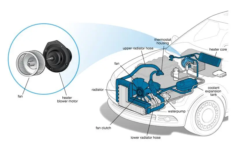 Heater Blower Motor